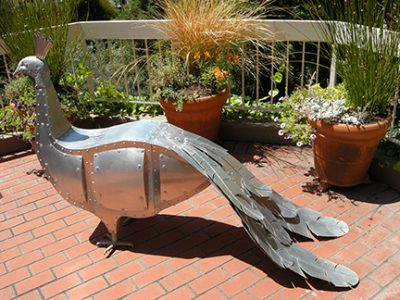 Photo of Ken Kalman's sculpture "Peacock." Artwork depicts an aluminum peacock.