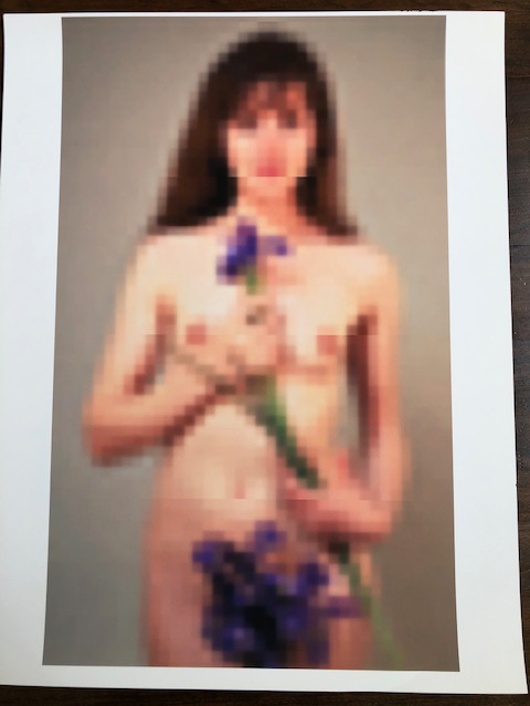 Photo of Richard Nagler's photograph "Untitled Nude I." Artwork depicts a pixelated nude female holding purple flowers.